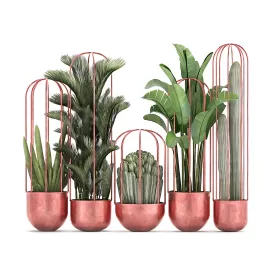 Collection of plants